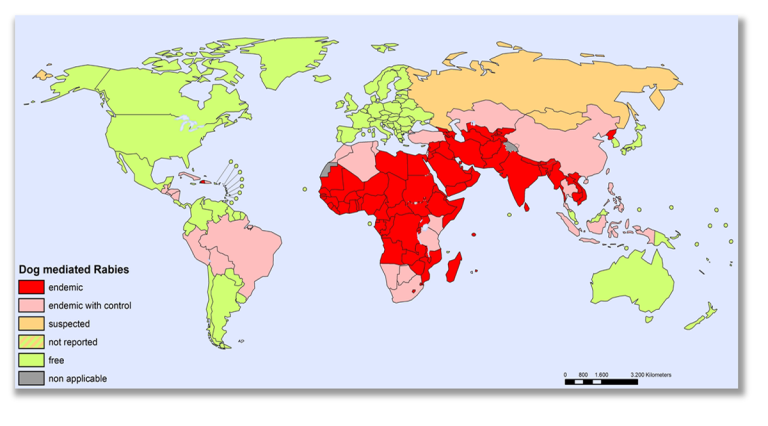 Distribución global de la rabia canina en 2023, destacando las áreas más afectadas por la enfermedad