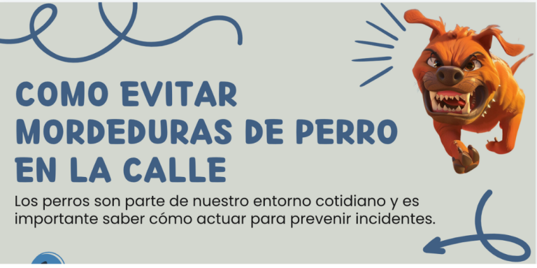 Infografía educativa para prevenir las Mordeduras Caninas en las calles, entornos públicos y espacios exteriores. Una guía para la prevención y el cuidado