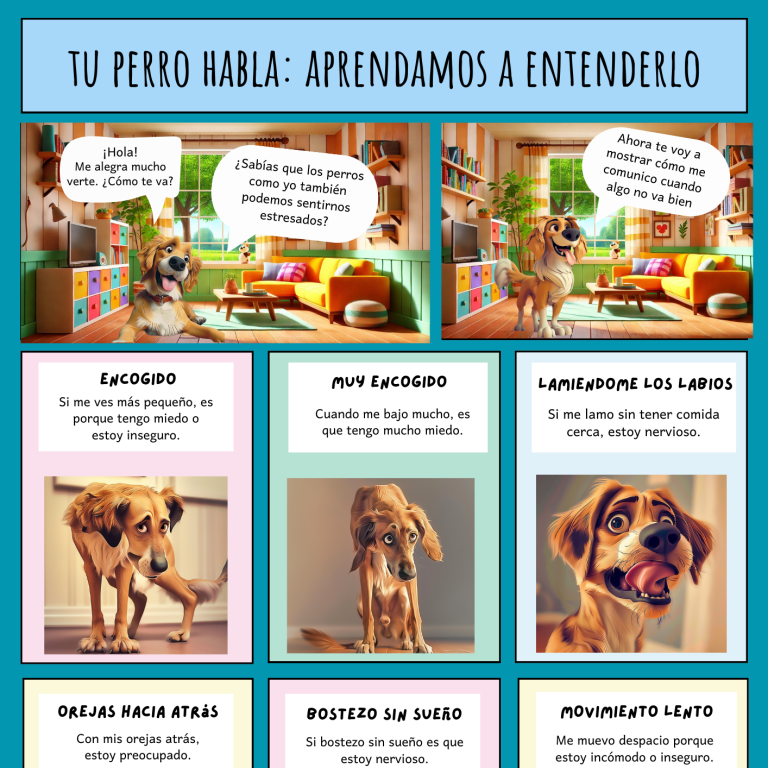 Historieta para conocer las diferentes posturas a través de las cuales los perros nos informan de sus estados emocionales. Una guía educativa para conocer sus diferentes señales de calma con las que nos expresan sus estados emocionales de estrés y miedo.