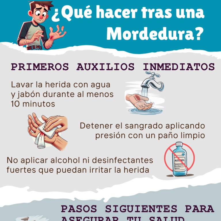 Infografía con el protocolo de actuación, primeros auxilios y pasos esenciales para actuar tras una mordedura de animal