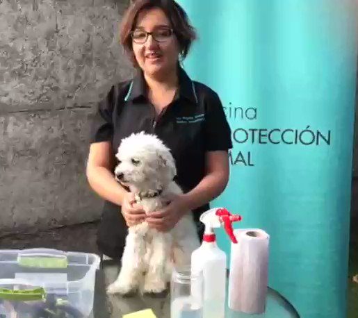 Margarita Adasme, veterinaria especializada en bienestar animal, etología y tenencia responsable