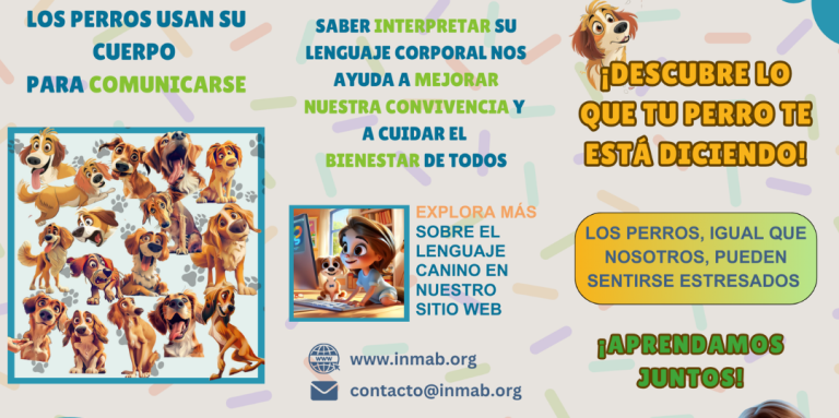 Tríptico educativo sobre el lenguaje corporal de los perros. Este recurso informativo explica cómo los perros utilizan su cuerpo para comunicarse, mostrando señales como el bostezar, lamerse los labios o encogerse. Disponible en español, catalán e inglés, este tríptico está diseñado para mejorar la comprensión del comportamiento canino y promover una convivencia armoniosa entre personas y perros.