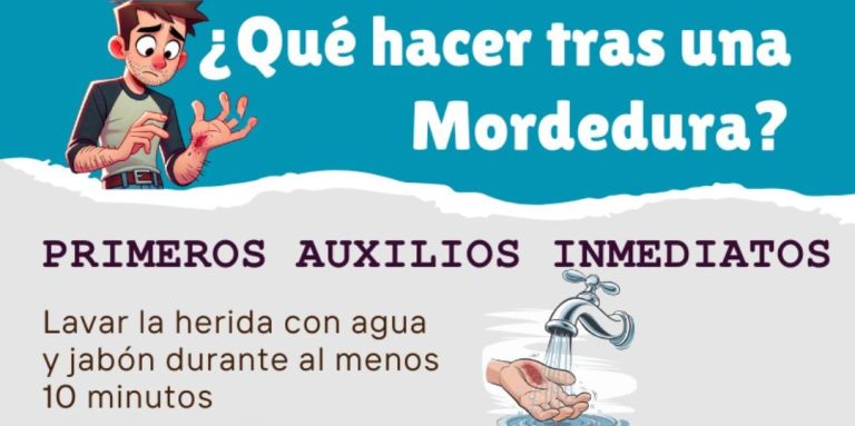 Infografía con primeros auxilios y pasos esenciales para actuar tras una mordedura de animal