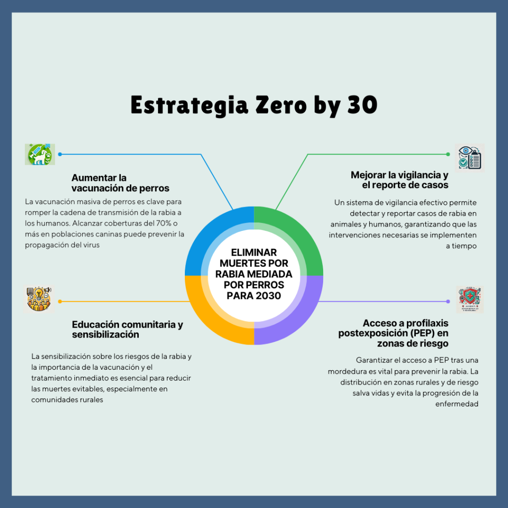 Gráfico que muestra los 4 pilares clave de la estrategia Zero by 30: vacunación de perros, vigilancia de casos, educación comunitaria y acceso a PEP