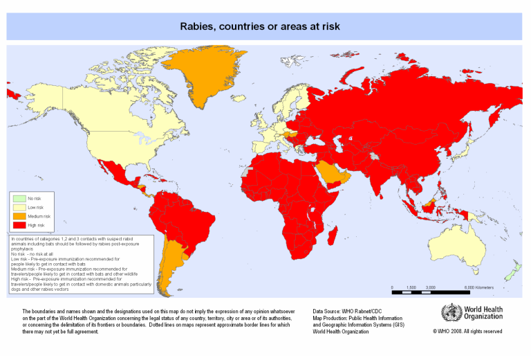 La Organización Mundial de la Salud (OMS) ha desarrollado un mapa interactivo que detalla las regiones del mundo donde las personas están expuestas a un mayor riesgo de contraer el virus de la rabia. Este recurso es fundamental para identificar las áreas más afectadas y comprender la distribución geográfica de la enfermedad, lo que permite una mejor planificación de las medidas preventivas y las campañas de vacunación