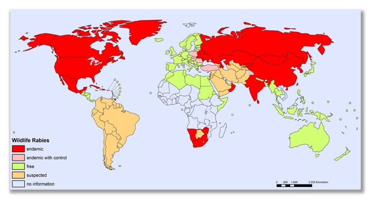 Distribución global de la rabia en animales salvajes en 2023, destacando las zonas más afectadas
