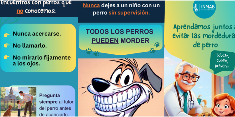 Tríptico para conocer las claves de las Mordeduras Caninas y las consecuencias que tienen para niños y niñas. Una guía para su prevención.