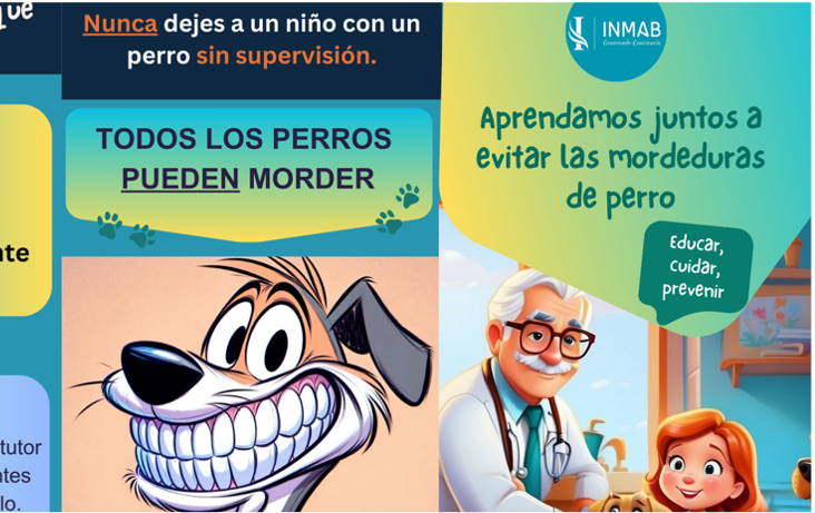 Tríptico educativo para conocer las claves de las Mordeduras Caninas y las consecuencias que tienen para niños y niñas. Una guía para su prevención en casa. Descubre el lenguaje corporal canino y a respetar los espacios y necesidades de los perros