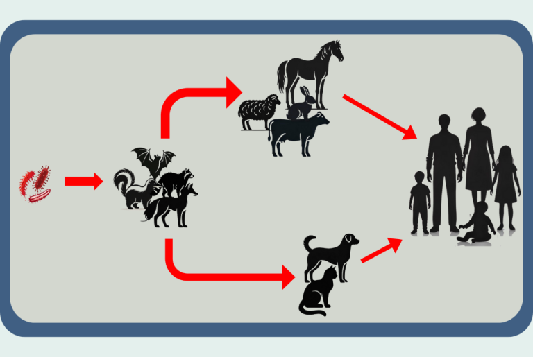 Tutores con su perro en la consulta del veterinario, trabajando en equipo para concienciarse de la importancia del correcto manejo ante los problemas de agresividad